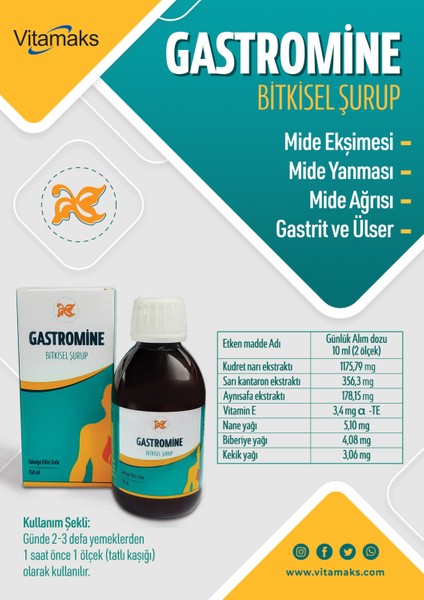 Gastromine Bitkisel Şurup 210 ml