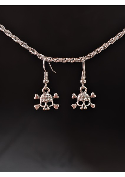 Vintage Antik Gümüş Kaplama Skull Kuru Kafa Sembol Küpe fiyatları