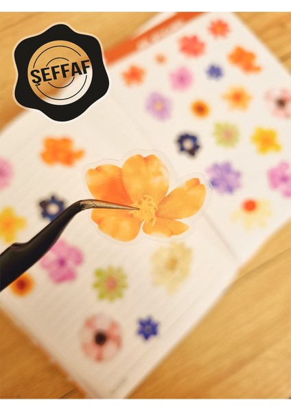 - Şeffaf Floral & Leaf Temalı Laptop Notebook Telefon Tablet Ajanda Sticker Seti fiyatları