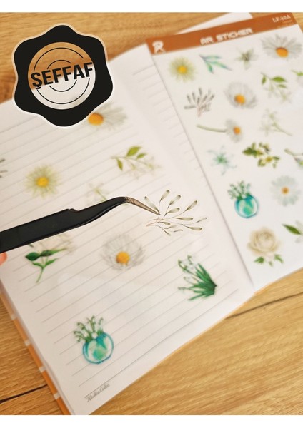 - Şeffaf Floral & Leaf Temalı Laptop Notebook Telefon Tablet Ajanda Sticker Seti