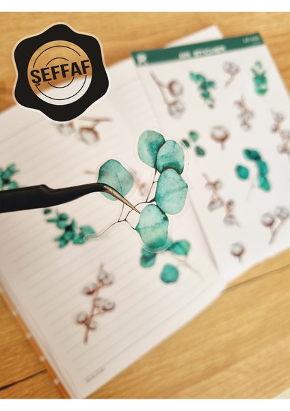 - Şeffaf Floral & Leaf Temalı Laptop Notebook Telefon Tablet Ajanda Sticker Seti fiyatları