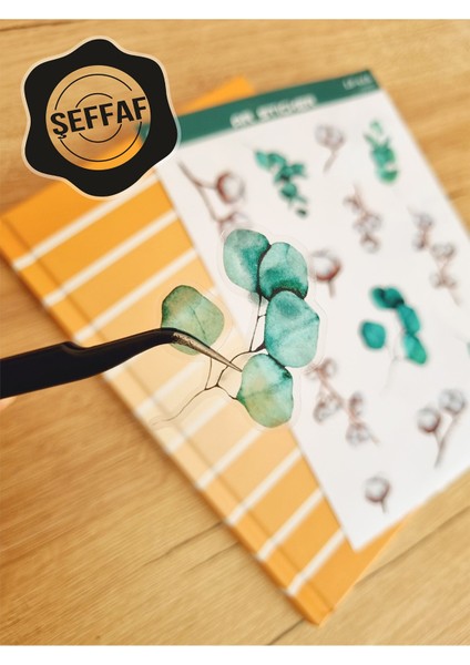 - Şeffaf Floral & Leaf Temalı Laptop Notebook Telefon Tablet Ajanda Sticker Seti modelleri