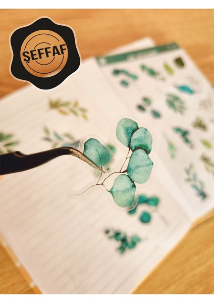 - Şeffaf Floral & Leaf Temalı Laptop Notebook Telefon Tablet Ajanda Sticker Seti fiyatları