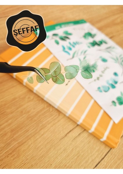 - Şeffaf Floral & Leaf Temalı Laptop Notebook Telefon Tablet Ajanda Sticker Seti modelleri
