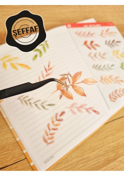- Şeffaf Floral & Leaf Temalı Laptop Notebook Telefon Tablet Ajanda Sticker Seti