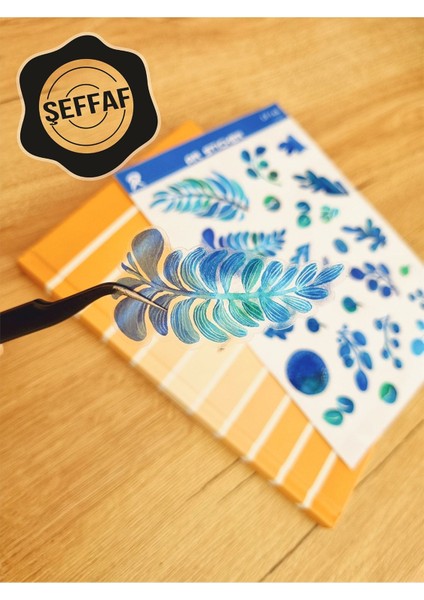 - Şeffaf Floral & Leaf Temalı Laptop Notebook Telefon Tablet Ajanda Sticker Seti