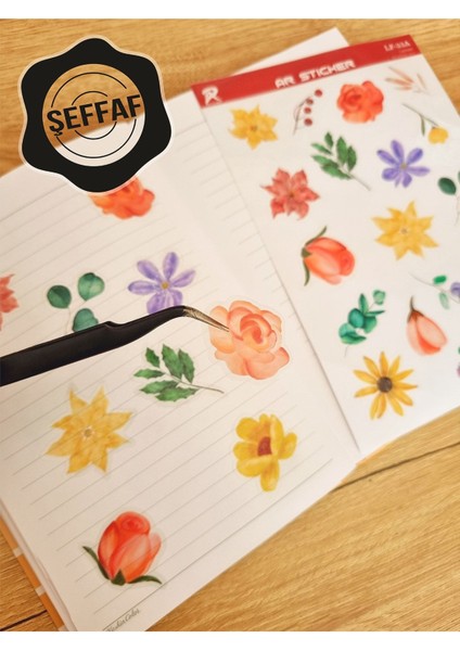 Şeffaf Laptop Notebook Telefon Tablet Ajanda Sticker Seti