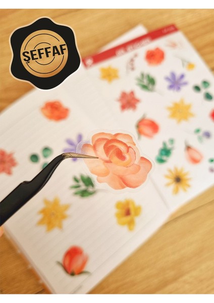 Şeffaf Laptop Notebook Telefon Tablet Ajanda Sticker Seti fiyatları