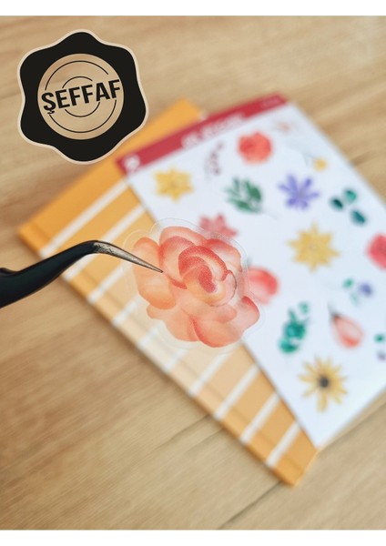 Şeffaf Laptop Notebook Telefon Tablet Ajanda Sticker Seti modelleri