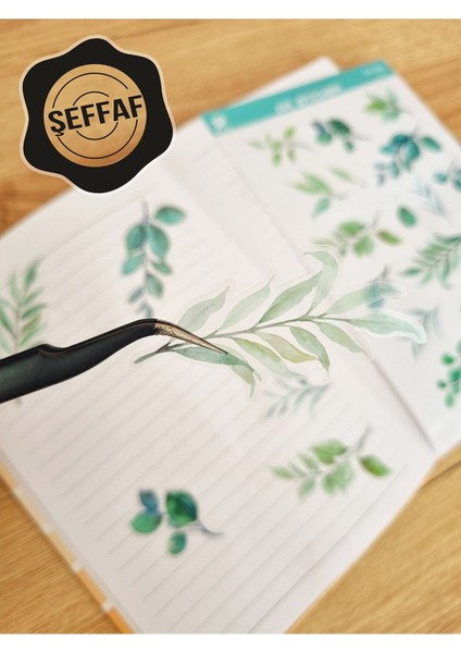 - Şeffaf Floral & Leaf Temalı Laptop Notebook Telefon Tablet Ajanda Sticker Seti