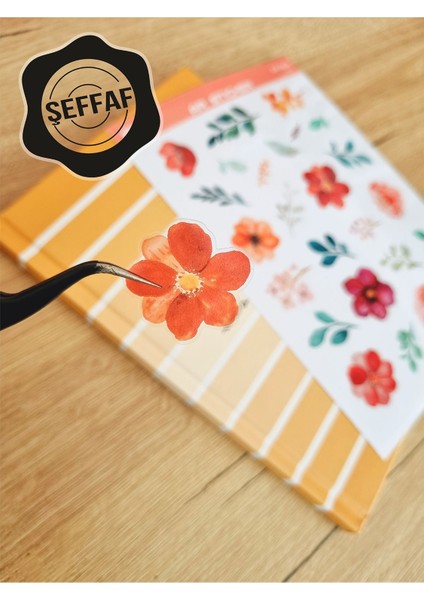 - Şeffaf Floral & Leaf Temalı Laptop Notebook Telefon Tablet Ajanda Sticker Seti modelleri