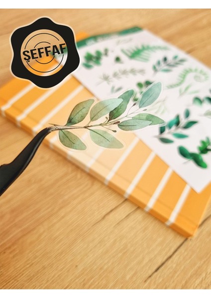 - Şeffaf Floral & Leaf Temalı Laptop Notebook Telefon Tablet Ajanda Sticker Seti modelleri