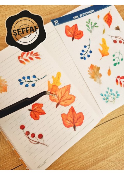 - Şeffaf Floral & Leaf Temalı Laptop Notebook Telefon Tablet Ajanda Sticker Seti