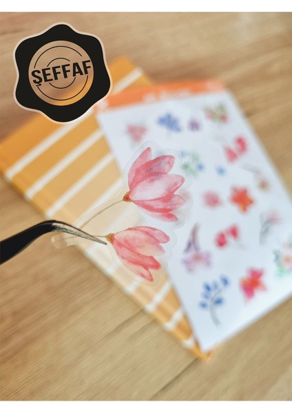 - Şeffaf Floral & Leaf Temalı Laptop Notebook Telefon Tablet Ajanda Sticker Seti modelleri