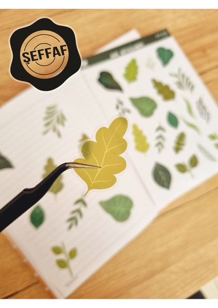 - Şeffaf Floral & Leaf Temalı Laptop Notebook Telefon Tablet Ajanda Sticker Seti