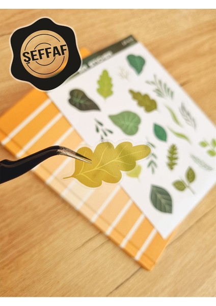 - Şeffaf Floral & Leaf Temalı Laptop Notebook Telefon Tablet Ajanda Sticker Seti fiyatları