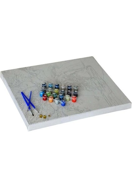 Beyaz Vazo ve Çiçekler 2 Sayılarla Boyama Seti 50X65 cm (Tuvale Gerili)