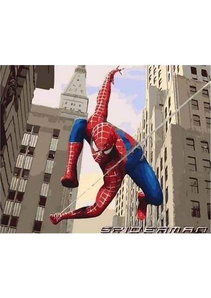 Spiderman Sayılarla Boyama Seti( Tuval Şasesine Gerili)