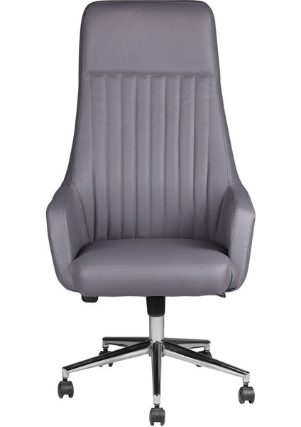 Comfort Plus Gri Deri Makam Koltuğu