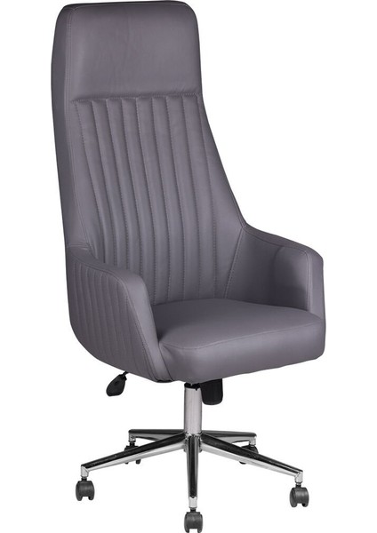 Comfort Plus Gri Deri Makam Koltuğu fiyatları