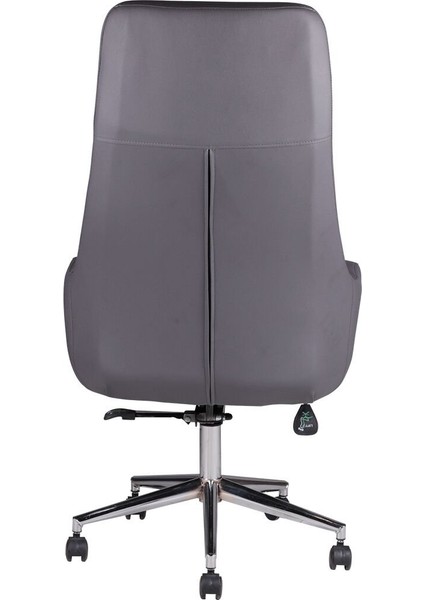 Comfort Plus Gri Deri Makam Koltuğu fırsatları