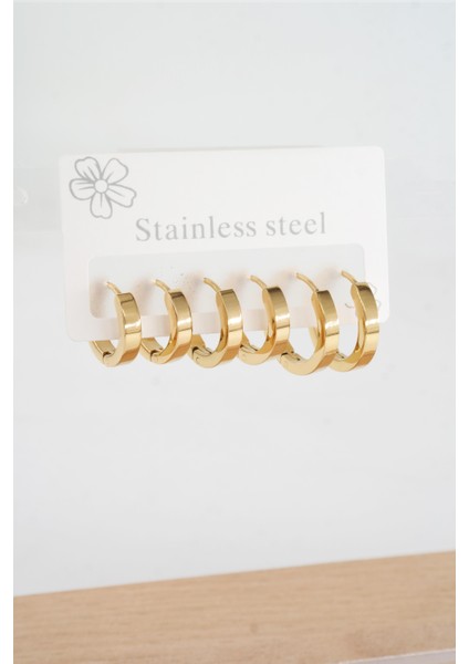 Kadın 316 L Çelik Vip Seri Anti Alerjenik 6'lı Küpe STL001