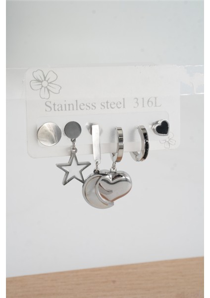 Kadın 316 L Çelik Vip Seri Anti Alerjenik 6'lı Küpe STL003 fiyatları