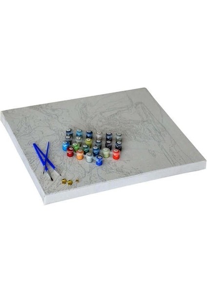 Gri Içindeki Gelincikler Sayılarla Boyama Seti 80X100 cm (Tuvale Gerili)