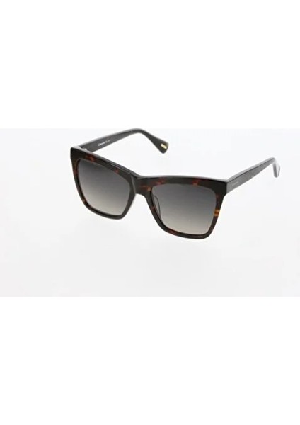 MOD.3438 C.02 Kahverengi Kırçıllı Kadın Güneş Gözlüğü