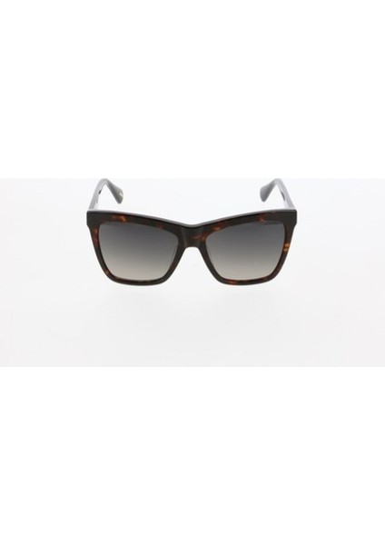 MOD.3438 C.02 Kahverengi Kırçıllı Kadın Güneş Gözlüğü modelleri