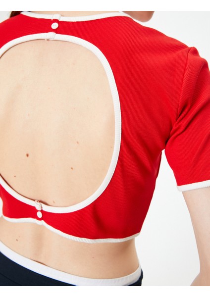 Crop Tişört Slim Fit Kısa Kollu Bisiklet Yaka Kaşkorse Renk Kontrastlı