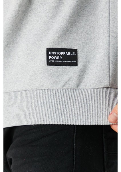Erkek Gri Basic Bisiklet Yaka Regular Fit Normal Kesim 2 Iplik Sweatshirt