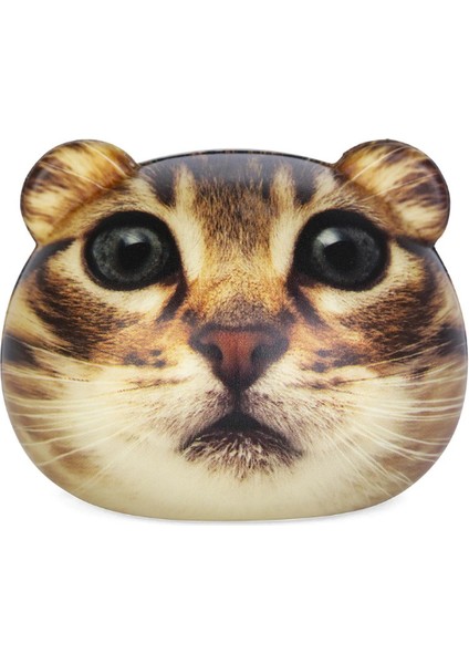 2'li Kedi Stres Topu