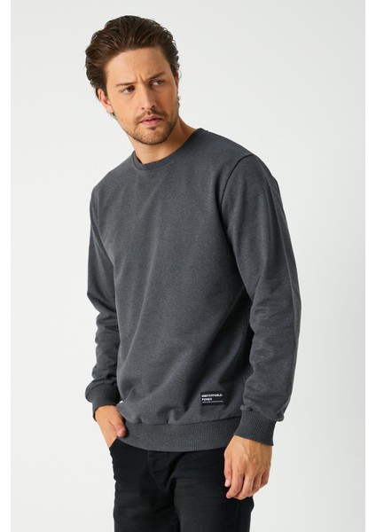 Erkek Antrasit Basic Bisiklet Yaka Regular Fit Normal Kesim 2 Iplik Sweatshirt