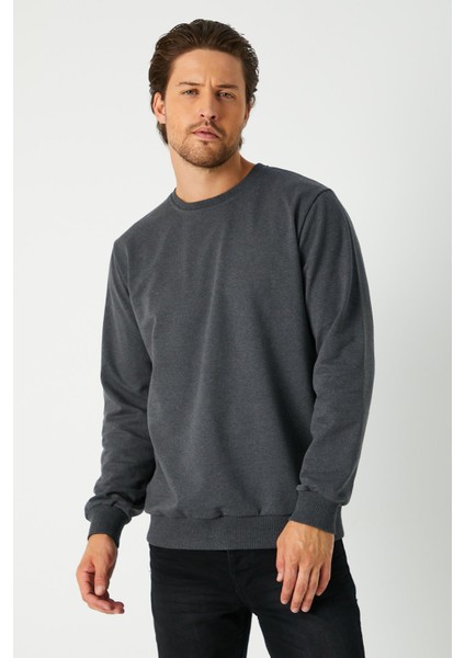 Erkek Antrasit Basic Bisiklet Yaka Regular Fit Normal Kesim 2 Iplik Sweatshirt fiyatları