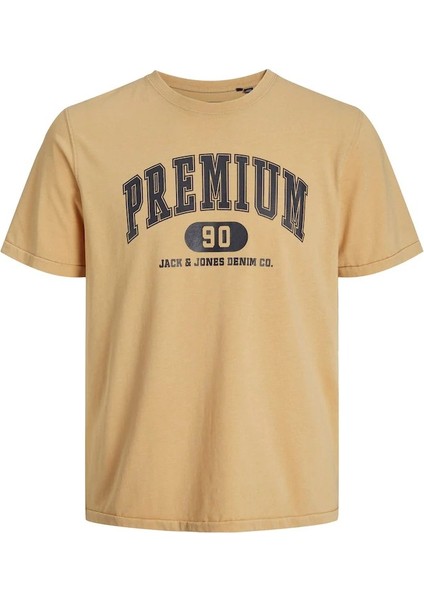 Jprblusebastian Ss Tee Erkek T-Shirt