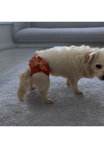 Dişi Köpek Külodu, Dişi Köpek Regl Külodu, Dişi Köpek Çiş Alıştırma Külodu, Çiş Külodu