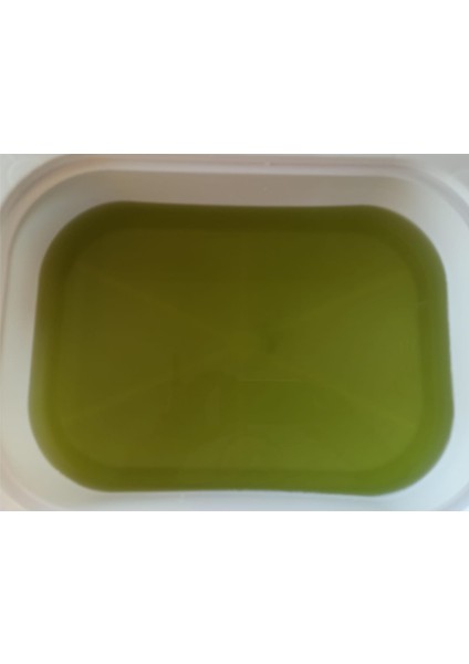 1 Litre Yeşil Su Chlorella Yosunu (Su Piresi Besini)