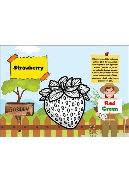 Eğlenerek ingilizce Öğreniyorum Serisi Fruit and Vegetables fiyatları
