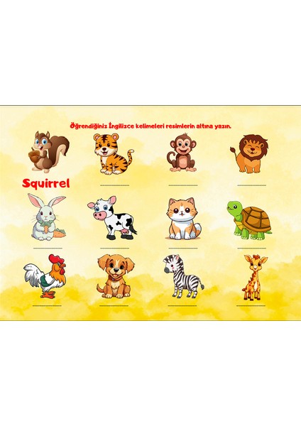 Eğlenerek İngilizce Öğreniyorum Serisi Animals modelleri