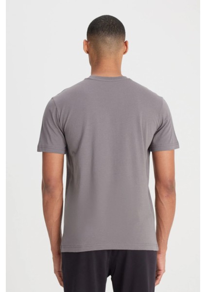 L60UFQ003 Antrasit Erkek Regular Fit Bisiklet Yaka Normal Kesim Lee Logolu Tşört