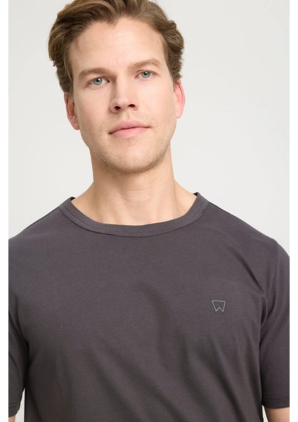 W241575003 Antrasit Erkek Regular Fit Normal Kesim Bisiklet Yaka %100 Pamuk Tşört fırsatları