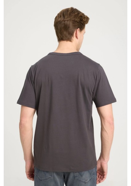 W241575003 Antrasit Erkek Regular Fit Normal Kesim Bisiklet Yaka %100 Pamuk Tşört indirimleri