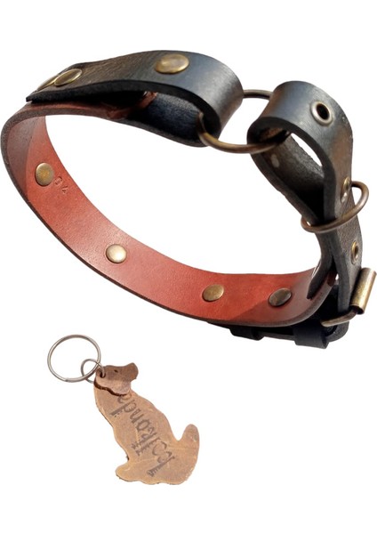 Köpek boyun tasması hakiki deri kahverengi siyah kalınlık:4mm genişlik:3cm boyun ölçüsü:M.32-40cm ayarlanabilir dog collar T1-26 modelleri