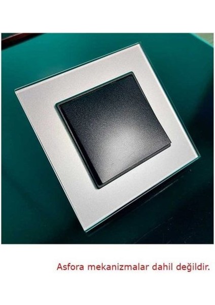 Asfir Schneider Asfora Serisi Pleksiglas Parlak Gümüş Tekli Çerçeve APG401-71 Modeli fırsatları