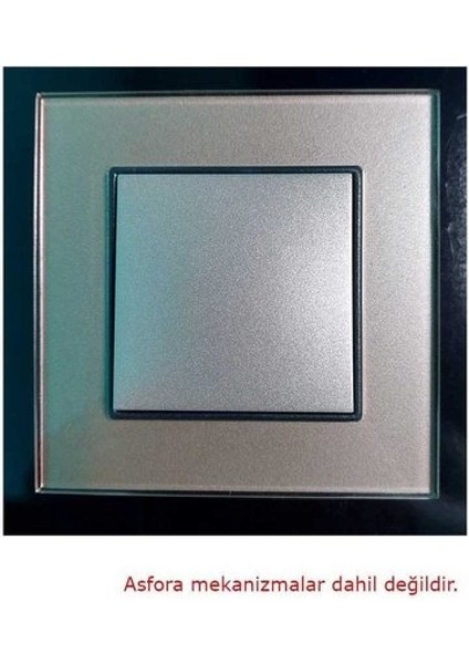 Asfir Schneider Asfora Serisi Pleksiglas Şampanya Tekli Çerçeve APG301-71 Modeli fiyatları