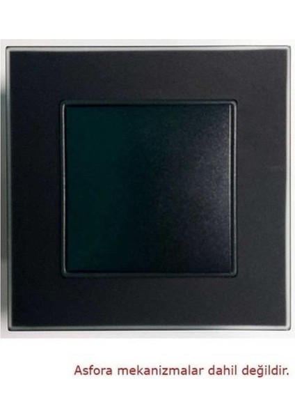 Asfir Schneider Asfora Serisi Pleksiglas Mat Siyah Tekli Çerçeve APG501-71 Modeli fiyatları