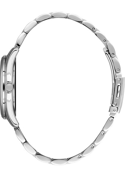 Danıel Kleın DK.1.13482.7 Premium Kadın Kol Saati fiyatları