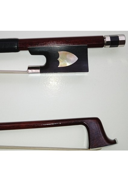 4/4 Keman Yayı Arşe