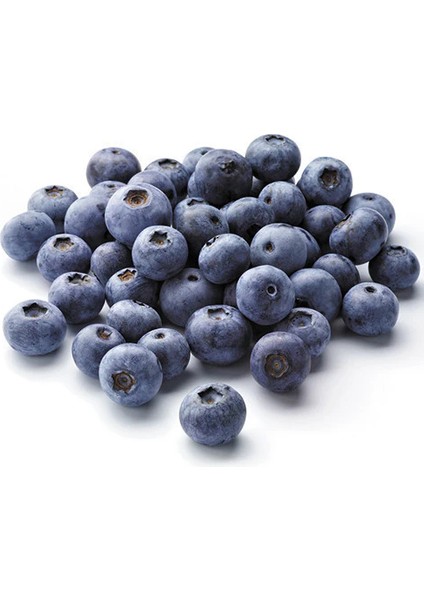 Taze Blueberry 1000 gr